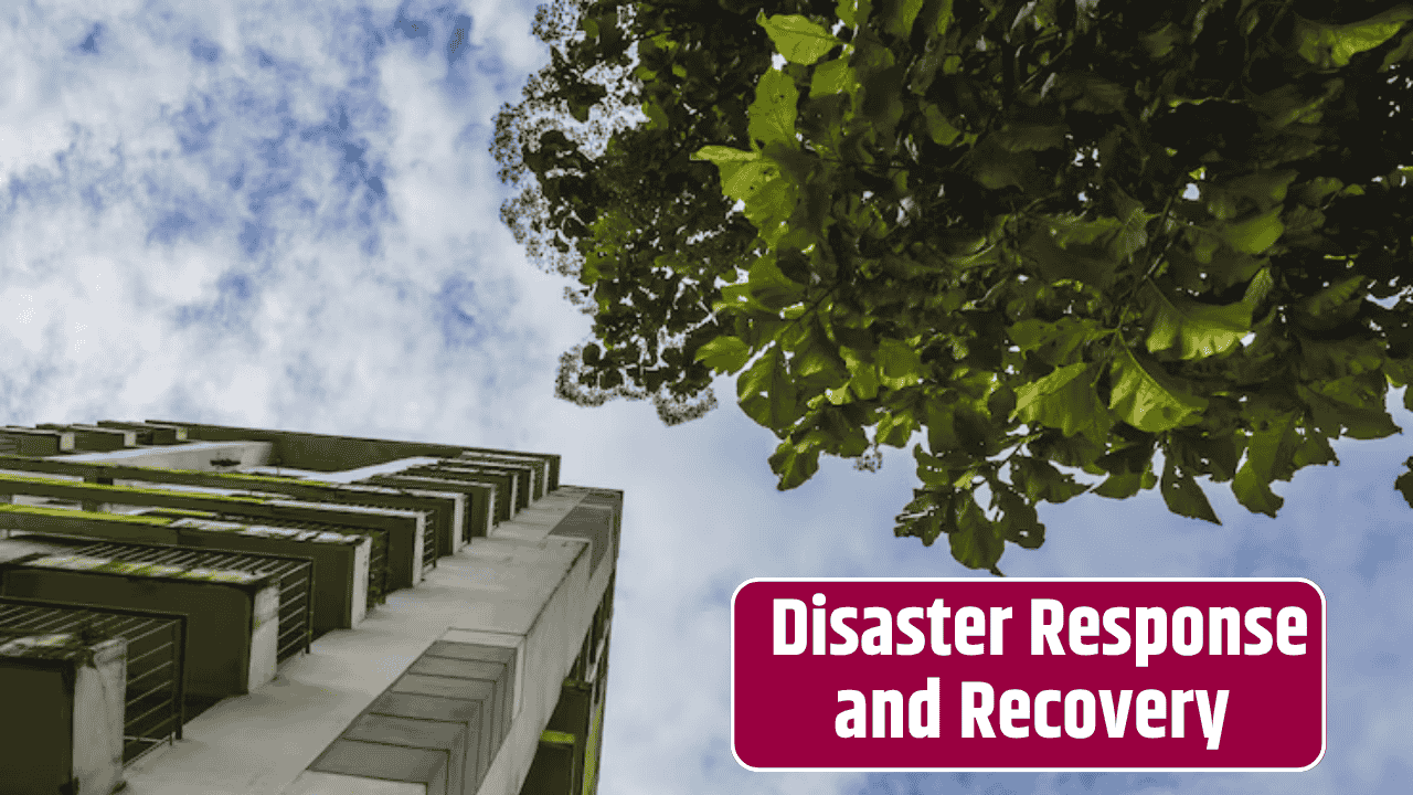 Seconds After Impact: Building Infrastructure That Bounces Back